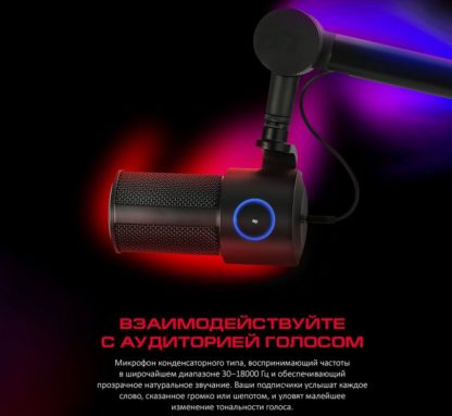 Навесной USB микрофон на гибкой стойке и ветрозащитой для установки на столе